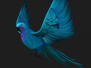 PapagaioA6 Modelo 3D