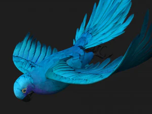 PapagaioA6 Modelo 3D
