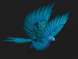 PapagaioA6 Modelo 3D