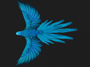 ParrotA6 3D Model