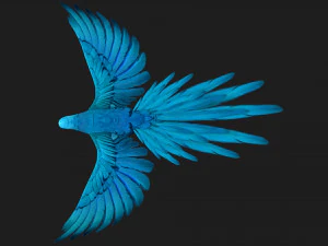 PapagaioA6 Modelo 3D