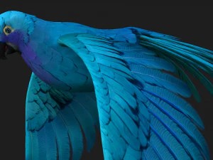 PapagaioA6 Modelo 3D