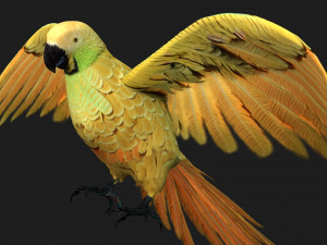 ParrotA7 Model 3D