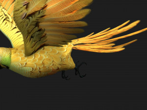ParrotA7 Model 3D