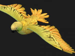 PapageiA7 3D Modell