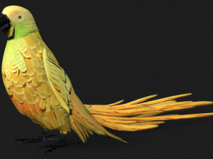 ParrotA7 Model 3D