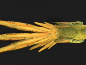 ParrotA7 Model 3D