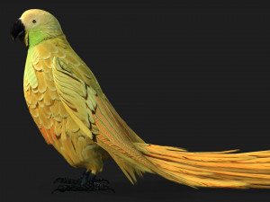 ParrotA7 Model 3D
