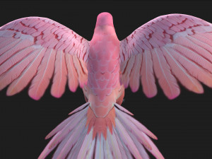 ParrotA8 Model 3D