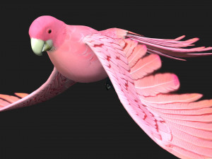 ParrotA8 Model 3D
