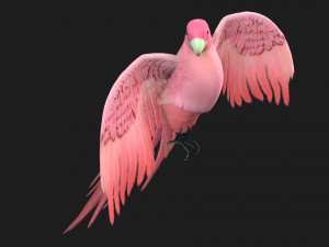 ParrotA8 Model 3D