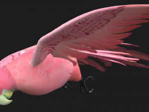 ParrotA8 Model 3D