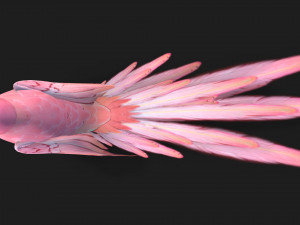 ParrotA8 Model 3D