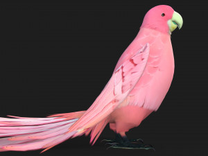 ParrotA8 Model 3D