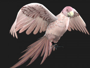 ParrotA9 Modelo 3D