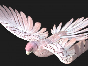 ParrotA9 Modelo 3D