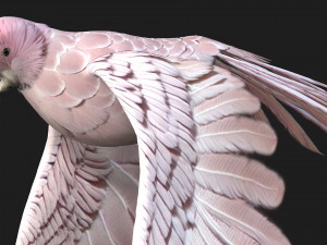 ParrotA9 Modelo 3D