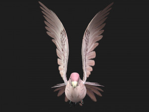 ParrotA9 Modelo 3D