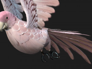 ParrotA9 Modelo 3D