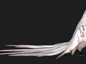 ParrotA9 Modelo 3D
