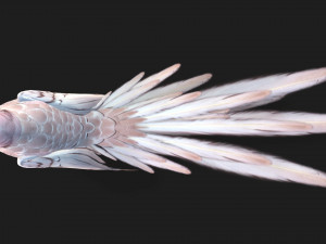 ParrotA9 Modelo 3D