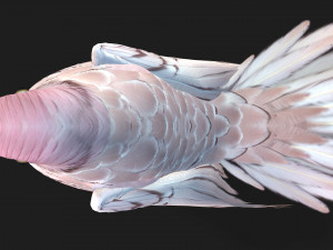 ParrotA9 Modelo 3D