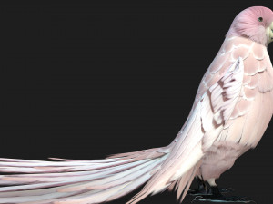 ParrotA9 Modelo 3D