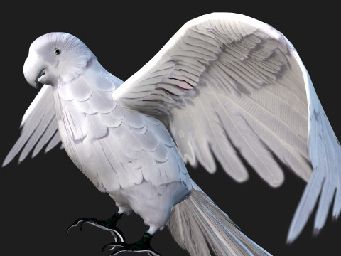 ParrotA10 3D 模型