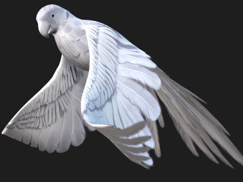 ParrotA10 3D 模型