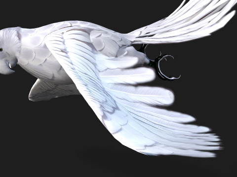 ParrotA10 3D 模型