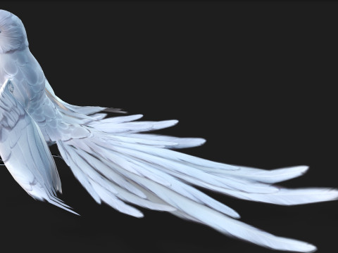 ParrotA10 3D 模型