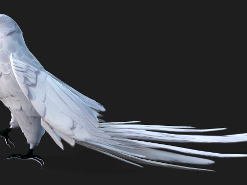ParrotA10 3D 模型
