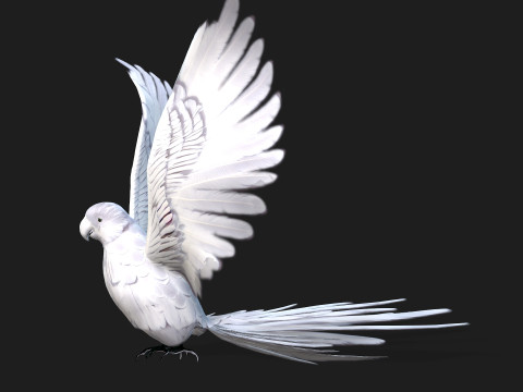 ParrotA10 3D 模型