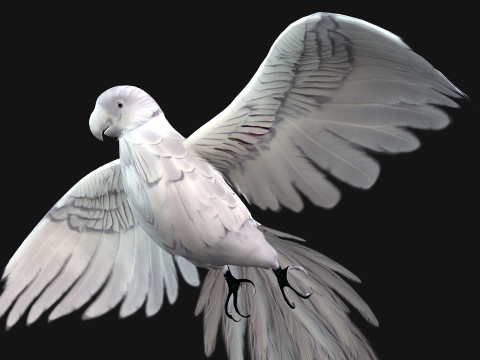 ParrotA10 3D 模型
