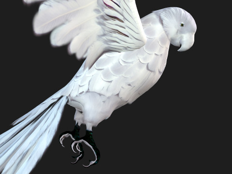 ParrotA10 3D 模型