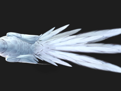 ParrotA10 3D 模型