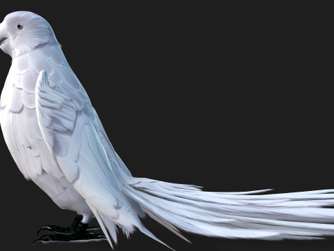 ParrotA10 3D 模型