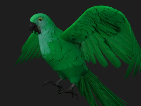 ParrotA11 3D Model