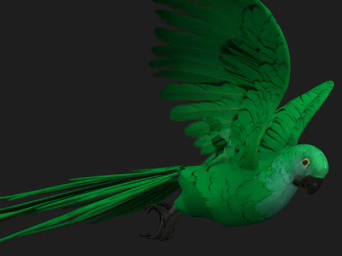 ParrotA11 3D Model