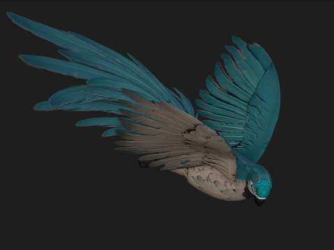 ParrotA12 Modello 3D