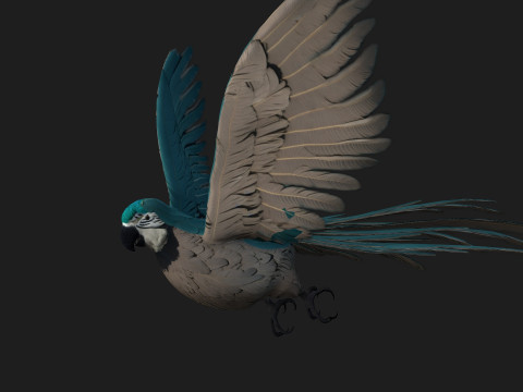 ParrotA12 Modello 3D