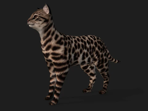 LeopardCat-A1 Modelo 3D