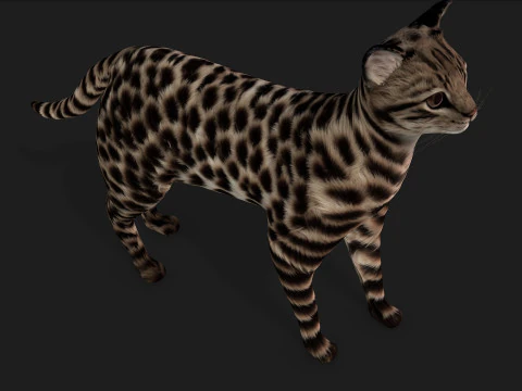 LeopardCat-A1 Modelo 3D
