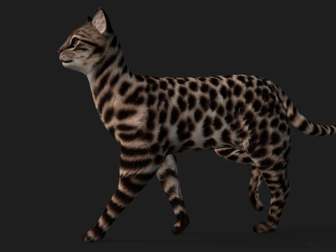 LeopardCat-A1 Modelo 3D