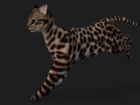 LeopardCat-A1 Modelo 3D