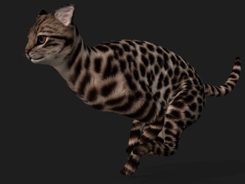 LeopardCat-A1 Modelo 3D