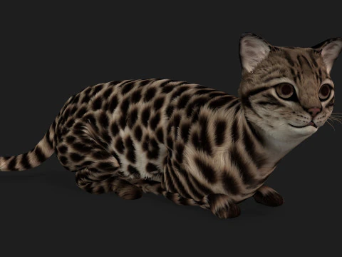 LeopardCat-A1 Modelo 3D