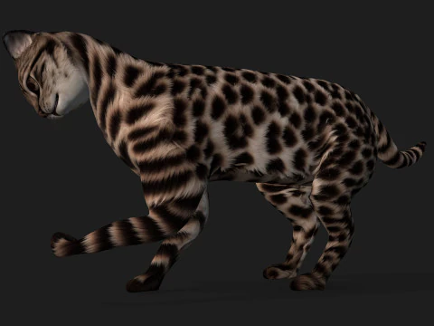 LeopardCat-A1 Modelo 3D