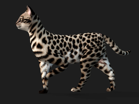 LeopardCat-A2 3D Model