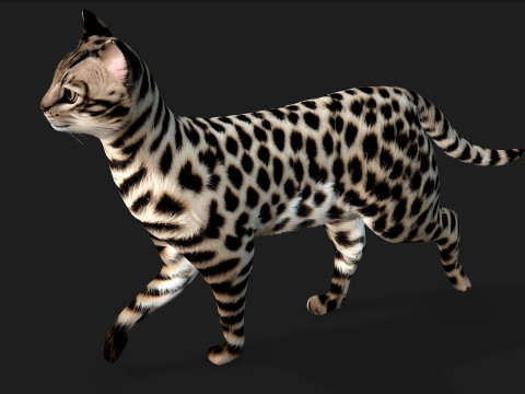 LeopardCat-A2 3D Model
